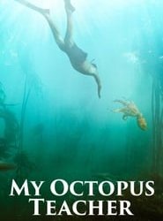 La sagesse de la pieuvre